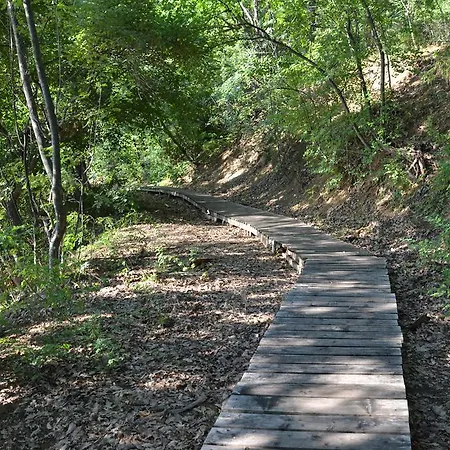 Apartament On The Cliff *