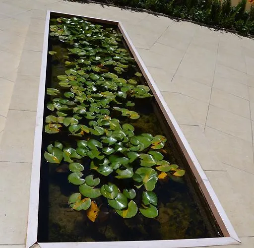 On The Cliff * 奥布佐尔